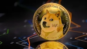 Dogecoin Price Today in India