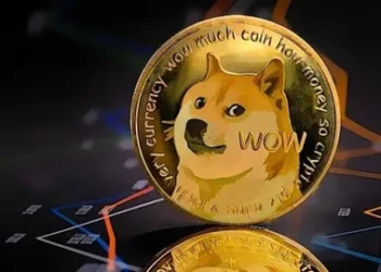 Dogecoin Price Today in India