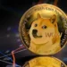 Dogecoin Price Today in India
