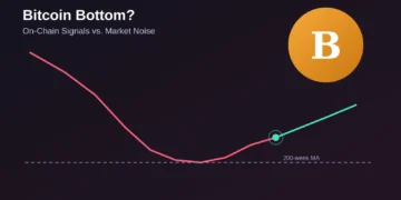 Bitcoin Bottom