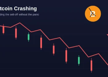 bitcoin crashing