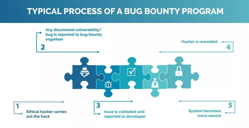 How the Bounty Program Works