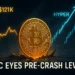 Bitcoin Prediction From February