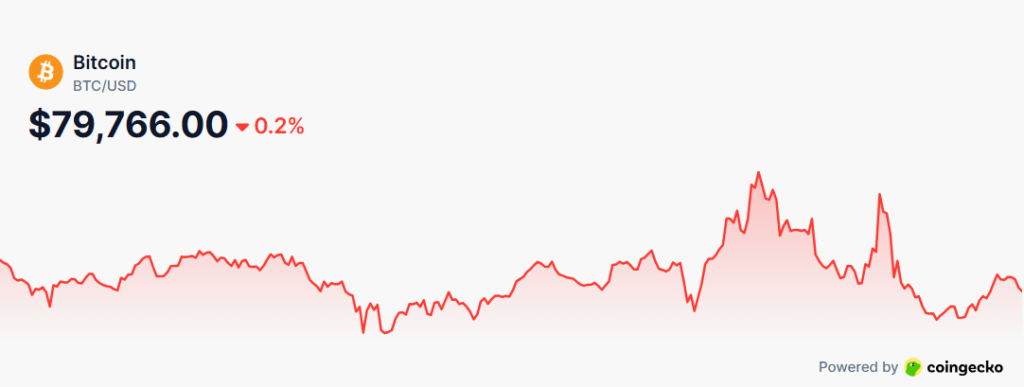 Bitcoin surpasses $80,000 